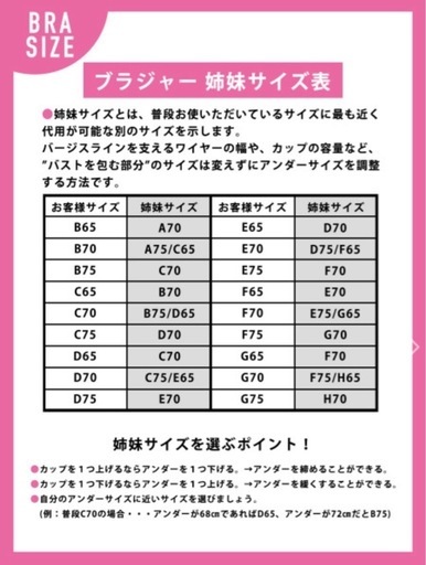 未使用タグ付き?RAVIJOUR/ブラジャー【B65】