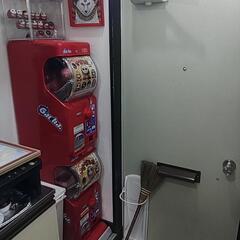 けだるまガチャ第一弾の画像