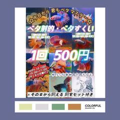 今日から君もベタマスター 