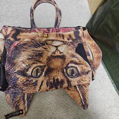 アチャチュムチャチャのバック