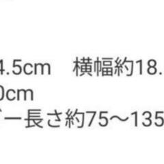 値下げ！DANTON 2way　 ギャザーバックの画像