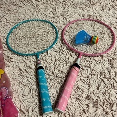 シャトルコックの中古が安い！激安で譲ります・無料であげます