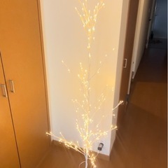 クリスマスツリー