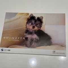 ノベルティ壁掛けカレンダー2025年☆仔犬写真の画像