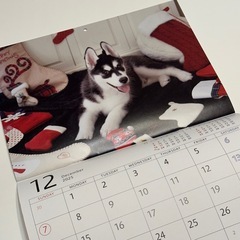 ノベルティ壁掛けカレンダー2025年☆仔犬写真の画像