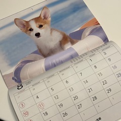 ノベルティ壁掛けカレンダー2025年☆仔犬写真の画像