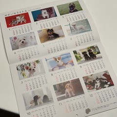 ノベルティ壁掛けカレンダー2025年☆仔犬写真の画像
