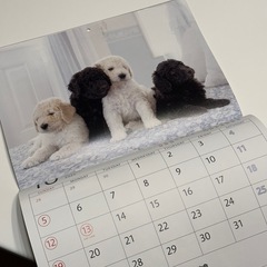 ノベルティ壁掛けカレンダー2025年☆仔犬写真の画像