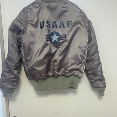 アヴィレックス(AVIREX)の画像