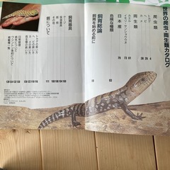 爬虫類🦎図鑑の画像