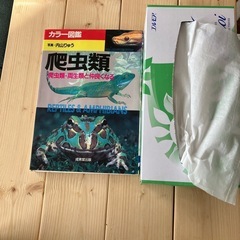 爬虫類🦎図鑑の画像