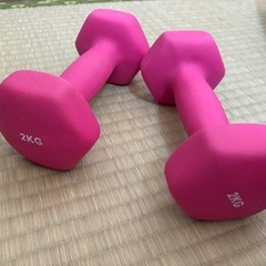 ダンベル2kg 2つ