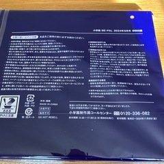 スキレット　ビーパル付録の画像