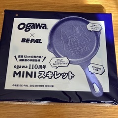 スキレット　ビーパル付録