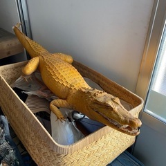 ワニの剥製の画像