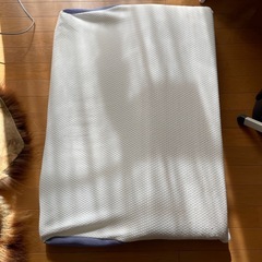 トゥルースリーパー