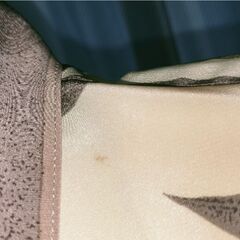 レトロ　　PINOREピノーレ　長袖　ブラウス　　ひまわり柄の画像