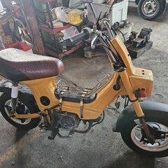 角目シャリー　再投稿、値下げしました。