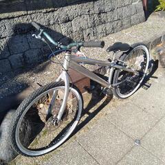 ECHO トライアル トライアル自転車 ECHO - 20 Kids