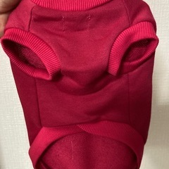 🐶犬の服の画像