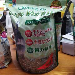 ウサギのチモシー  パスチャーウィートヘイ