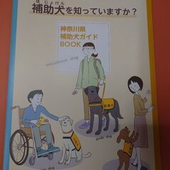 中古電気ストーブ　美品　東京神奈川で取引　希望者には2枚目以降の商品も差し上げます。　 たくさんの不要なDVDブルーレイをいただける方とは、優先的に取引しますの画像
