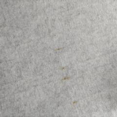 【決まりました！】ホットカーペット　ニトリの画像