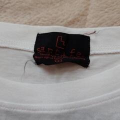 メンズTシャツの画像