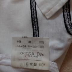 メンズTシャツの画像