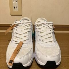 ウィメンズ エア マックス エクシーの画像