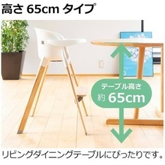 【受付終了】リッチェル　ベビーチェア　ポージー65の画像