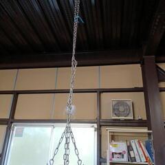 運動器具1の画像