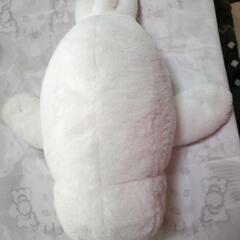 アザラシちゃん🦭✨ぬいぐるみ💕の画像