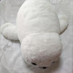 アザラシちゃん🦭✨ぬいぐるみ💕の画像