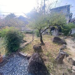 無料です。庭石譲ります。
