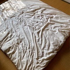 掛け布団 (約195×165cm) ダブルサイズの画像