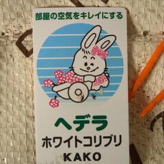 ヘデラ　ホワイトコリブリの画像