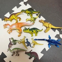 アニア　アニマルアドベンチャー　の画像