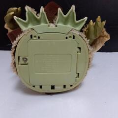 厚木方面🆗STARWARSヨーダの画像
