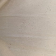 【値下げ】【トコちゃんベルトの青葉】天使の寝床　ベビーマットレスの画像