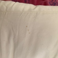 【値下げ】【トコちゃんベルトの青葉】天使の寝床　ベビーマットレスの画像