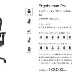 【中古】高級オフィスチェア Ergohuman PRO