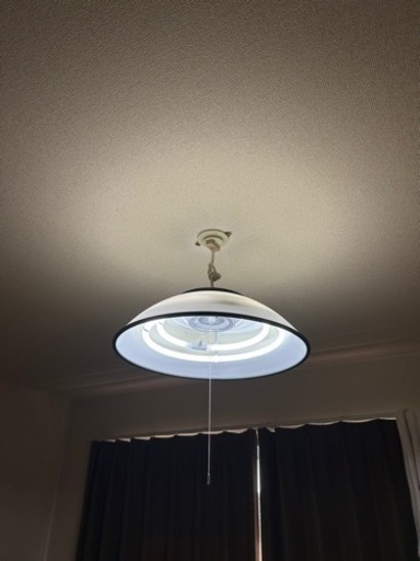 電気