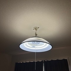 電気　
