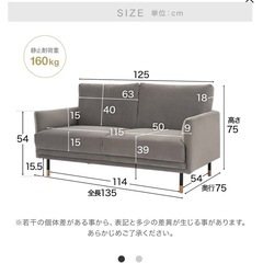【美品】LOWYA 2人掛けソファ【引き取りのみ】  の画像