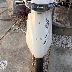 ライブディオZXの画像