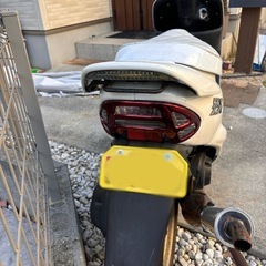 ライブディオZXの画像