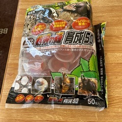 引き取り　カブト虫、飼育用昆虫ゼリー昆虫マット