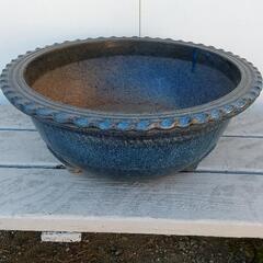植木鉢、盆栽鉢   寄せ植え