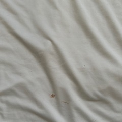 レディース インナー 服の画像